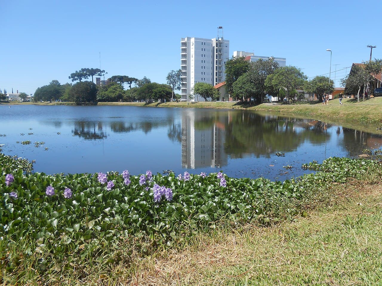 2016-01-17 - Parque da Lagoa - Desvio Rizzo - Caxias do Sul, Rio Grande do Sul, Brasil