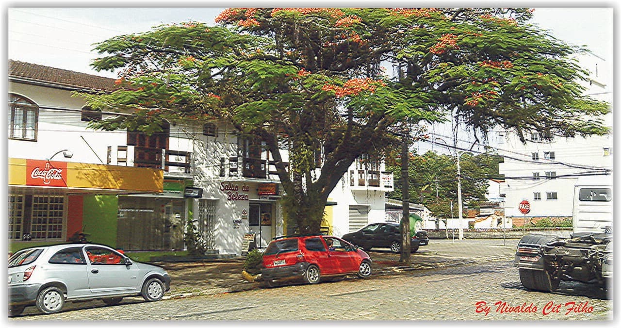 JOINVILLE, Santa Catarina, Brasil