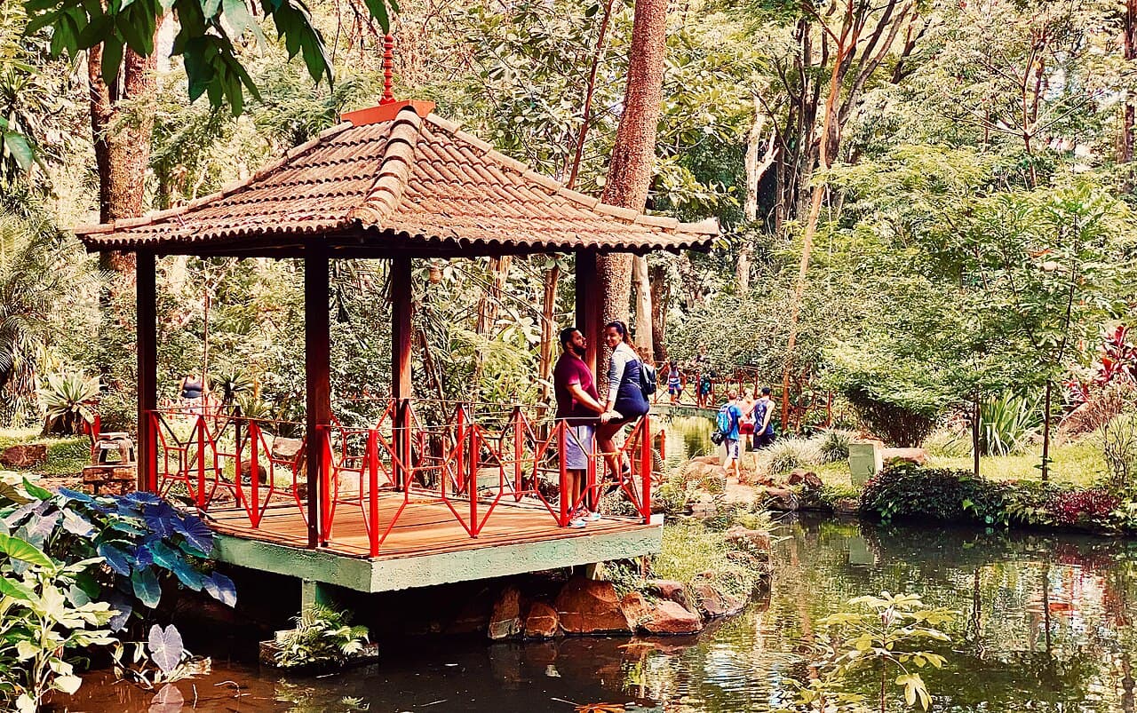 Ribeirão Preto - São Paulo