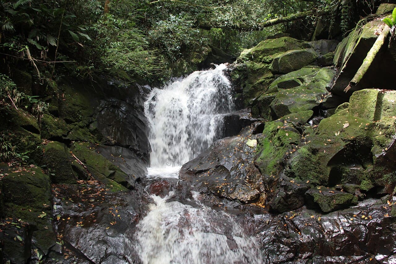 Cachoeira Mata Atlântica - SP